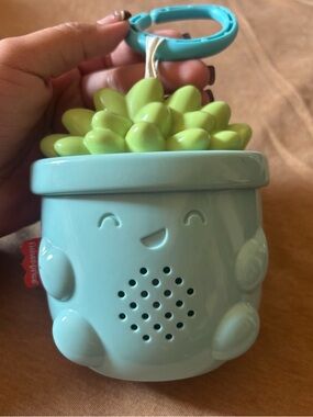 Fisher-Price Light Teal Succulent Bath Toy with Clip